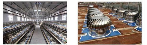 Ventilador de telhado de aço inoxidável personalizado para ventilação resistente a altas temperaturas
