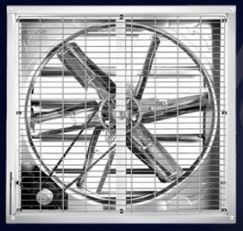 Ventilador de extração de CA montado na parede de 48 polegadas com ventilação de estufa de prata do motor Siemens