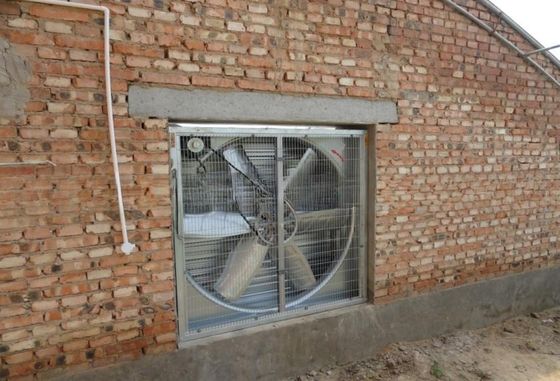 Ventilador de extração de CA montado na parede de 48 polegadas com ventilação de estufa de prata do motor Siemens